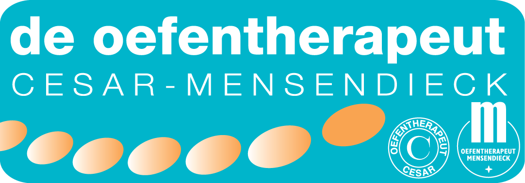 Oefentherapie Leek